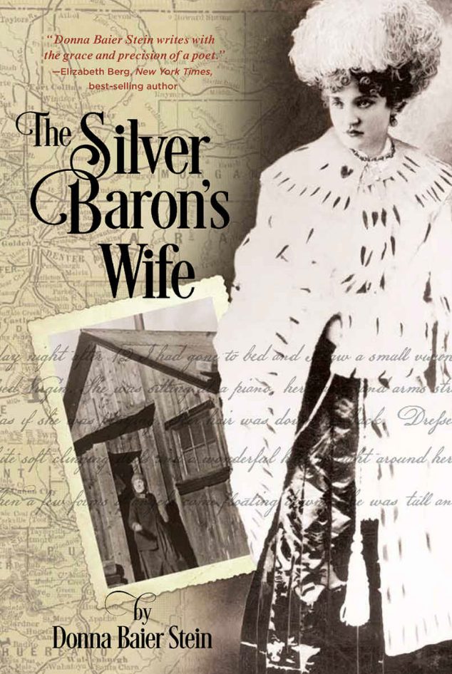 Donna Baier Stein The Silver Barons Wife